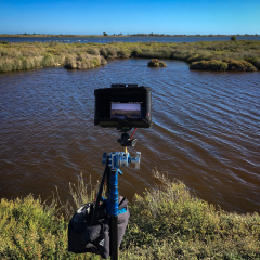 Ça tourne, Camargue