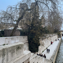 Notre Dame, Paris