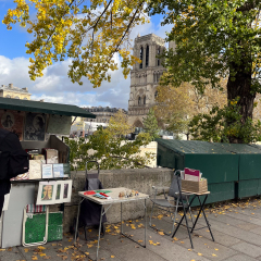 Notre Dame, Paris