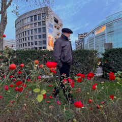 Paris en fleurs